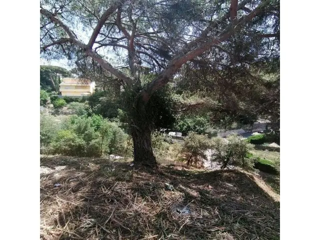 Venta Terreno 501m2 Can Massuet Dosrius