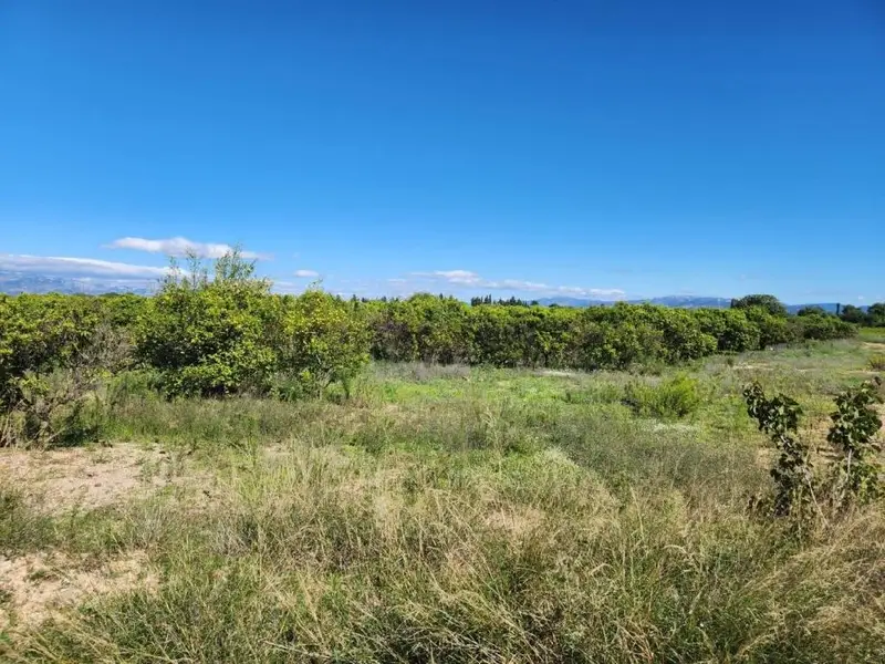 Venta Suelo Santa Barbara 21545m Naranjos