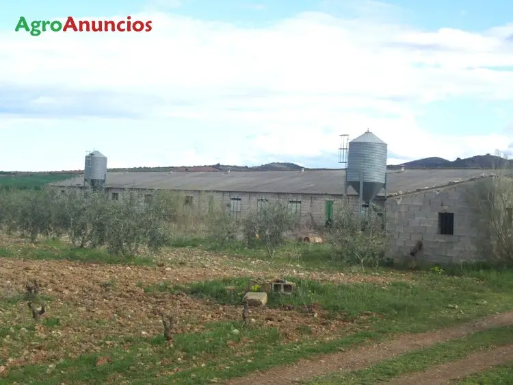 Venta  de Finca con nave ganadera en Zaragoza