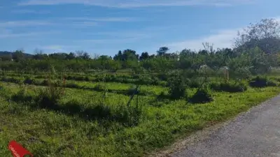 Terreno Agricola en O Rosal con Pozo de Agua