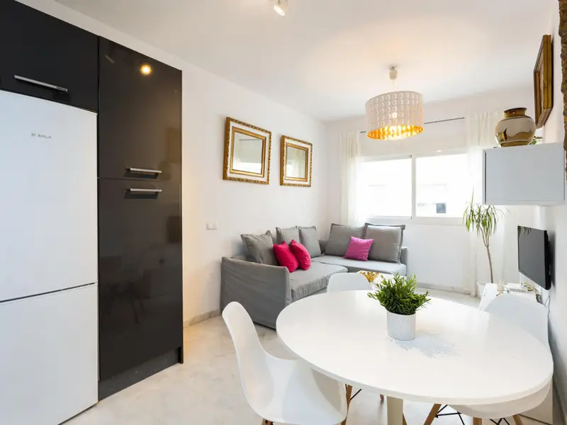 Apartamento 1 Dormitorio Malaga Centro Wifi Parking Mascotas