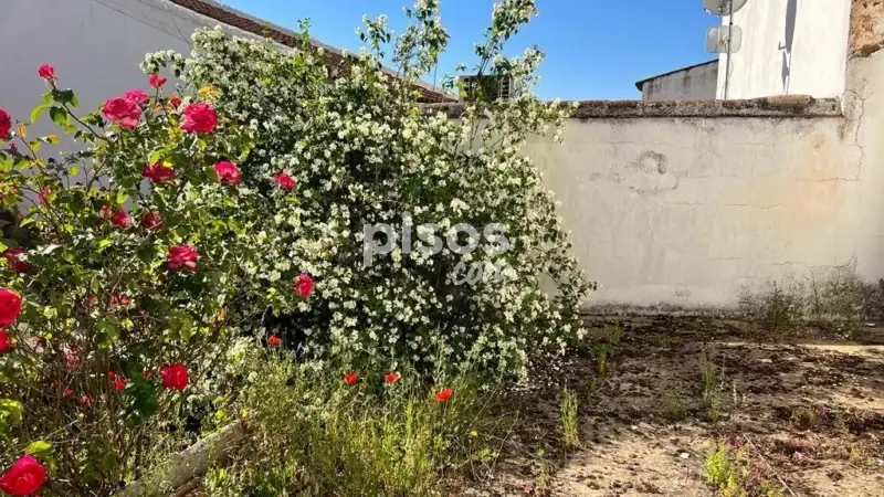 Casa en venta para reformar en Calle Manuel Arribas Carrillo