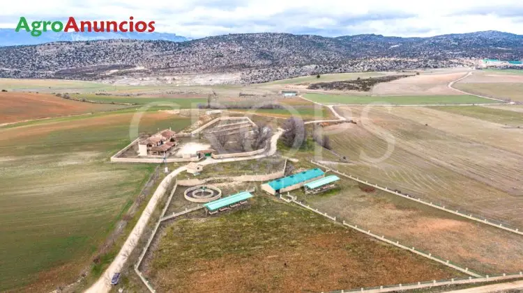 Venta  de Finca de caza con casa en Albacete