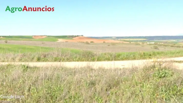 Venta  de Finca de secano uso agrario en Guadalajara